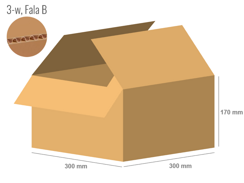 Cardboard box 300x300x170 - with Flaps (Fefco 201) - 3-layer (3w)