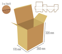 Pudełko fasonowe 260x170x320 - Fefco 215