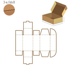 Prototyp eines Kartons - FEFCO 427