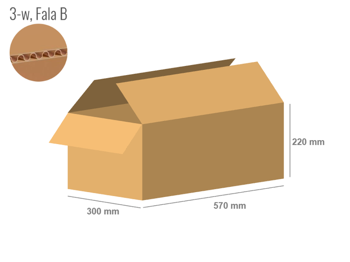 Pudełko kartonowe 570x300x220 - Klapowe Fefco 201