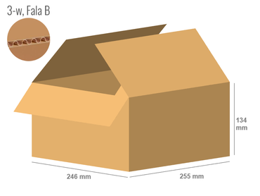 Pudełko kartonowe 255x246x134 - Klapowe Fefco 201